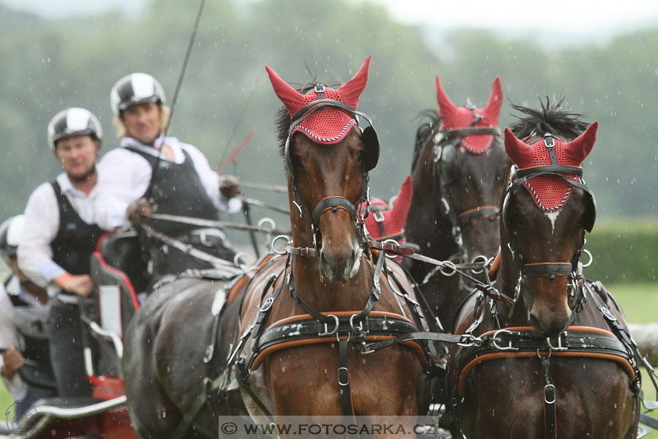 Závody spřežení Topoľčianky 2016