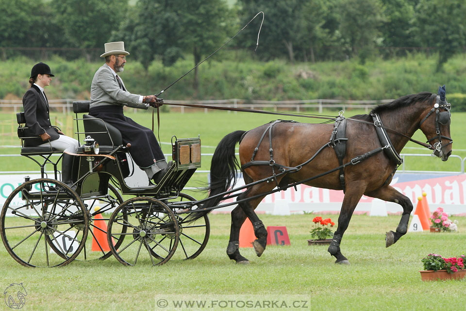 Závody spřežení Topoľčianky 2016