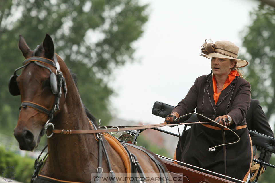 Závody spřežení Topoľčianky 2016