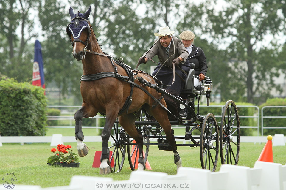 Závody spřežení Topoľčianky 2016