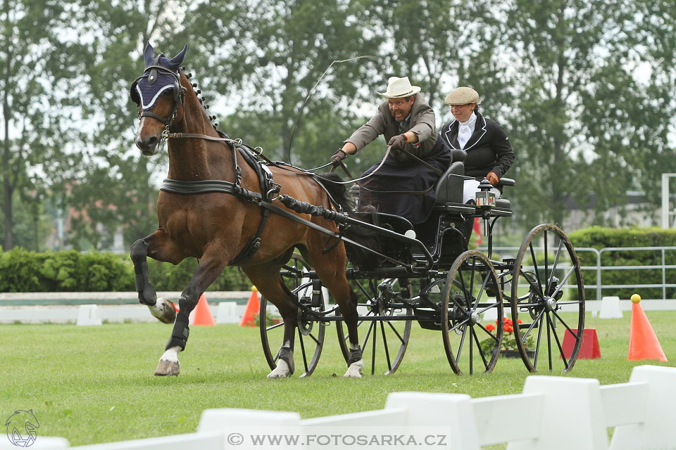 Závody spřežení Topoľčianky 2016