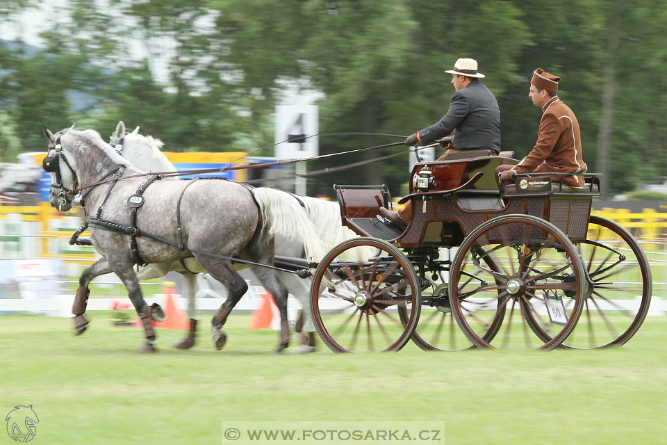 Závody spřežení Topoľčianky 2016