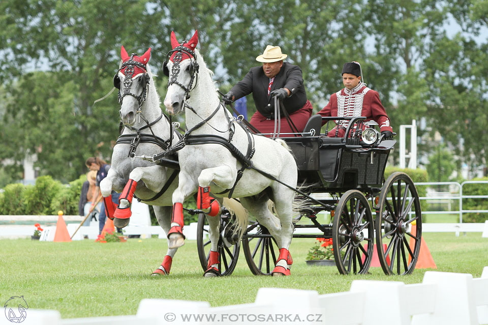 Závody spřežení Topoľčianky 2016