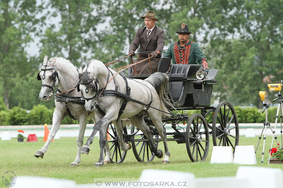 Závody spřežení Topoľčianky 2016