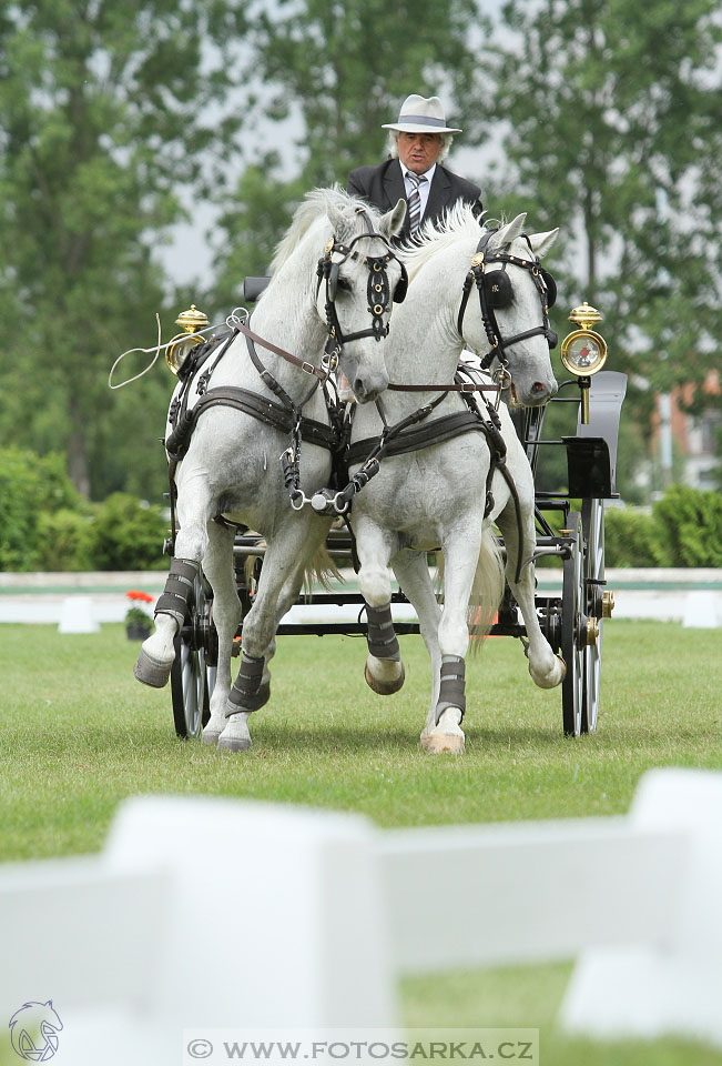 Závody spřežení Topoľčianky 2016