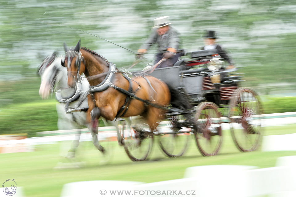 Závody spřežení Topoľčianky 2016