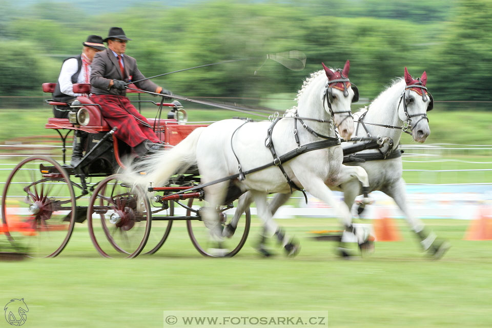 Závody spřežení Topoľčianky 2016