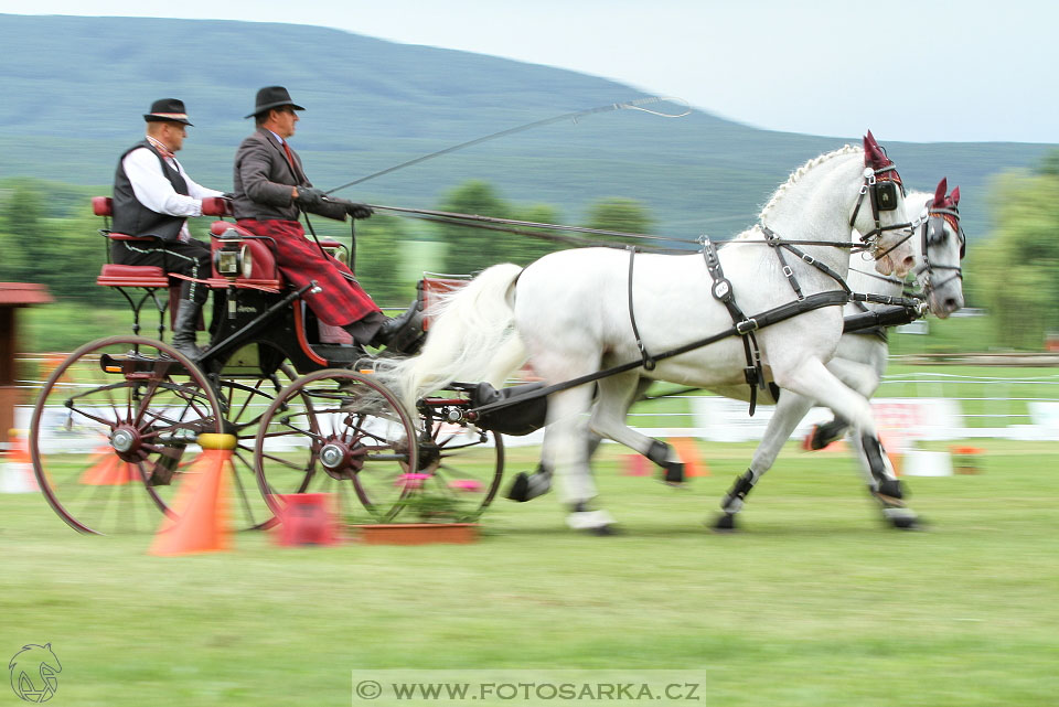 Závody spřežení Topoľčianky 2016