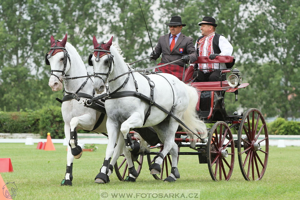 Závody spřežení Topoľčianky 2016