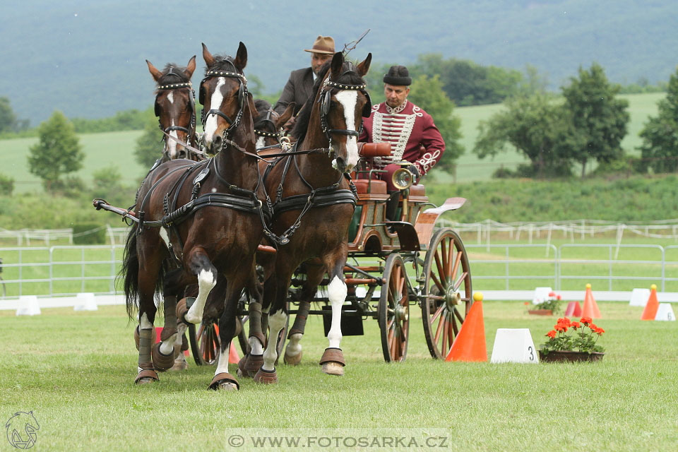 Závody spřežení Topoľčianky 2016