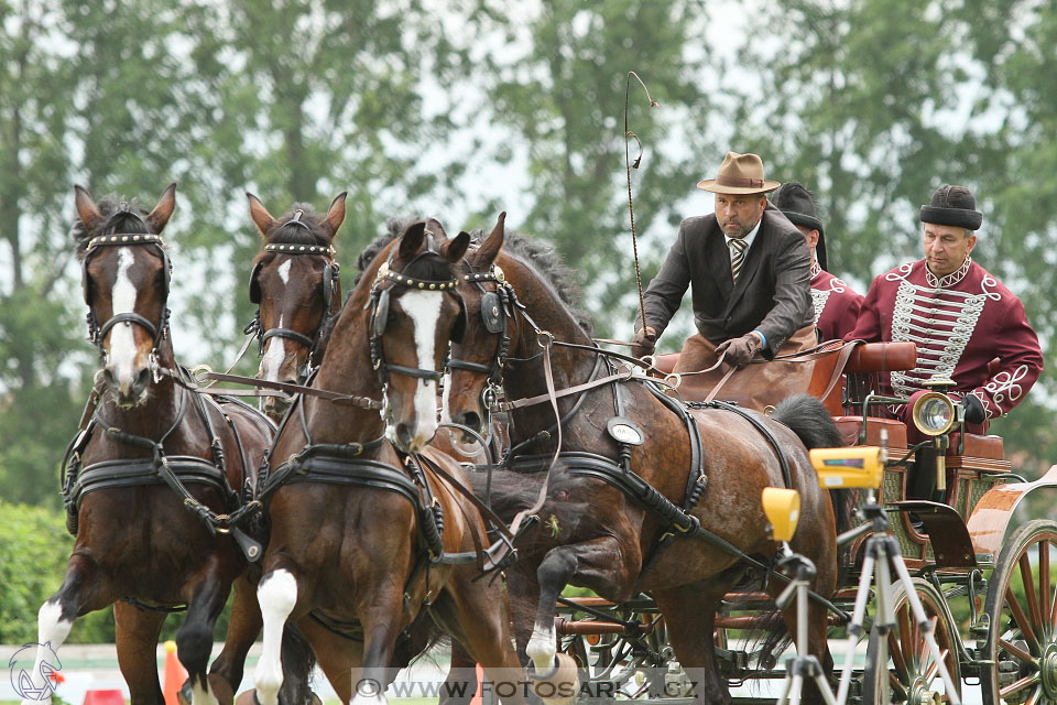 Závody spřežení Topoľčianky 2016