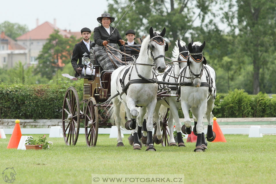 Závody spřežení Topoľčianky 2016