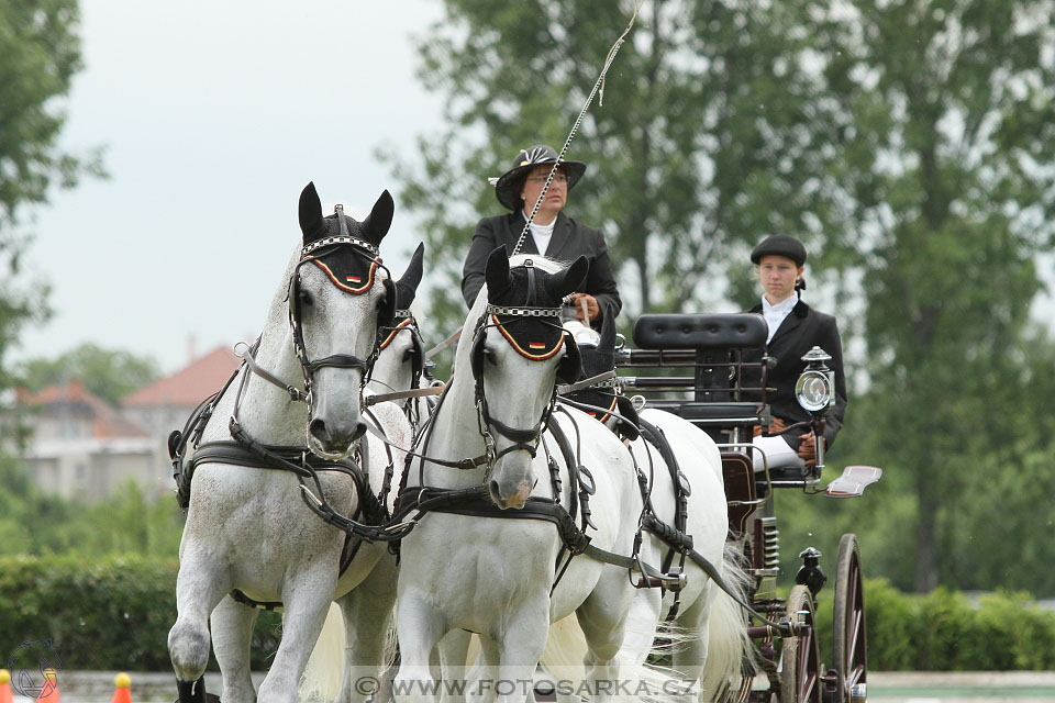 Závody spřežení Topoľčianky 2016