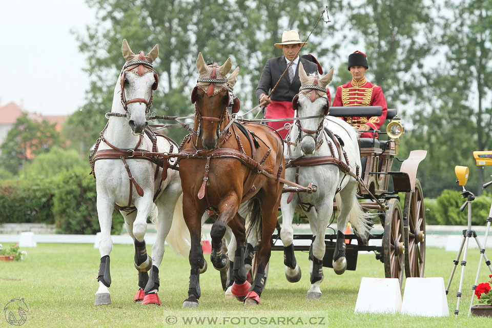 Závody spřežení Topoľčianky 2016