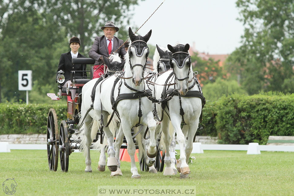 Závody spřežení Topoľčianky 2016