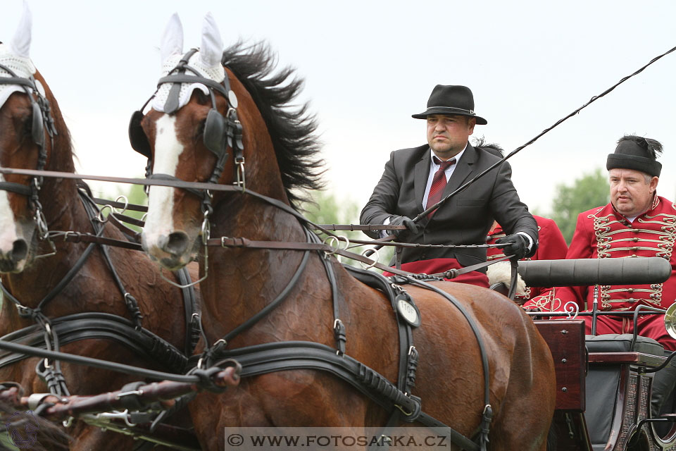 Závody spřežení Topoľčianky 2016