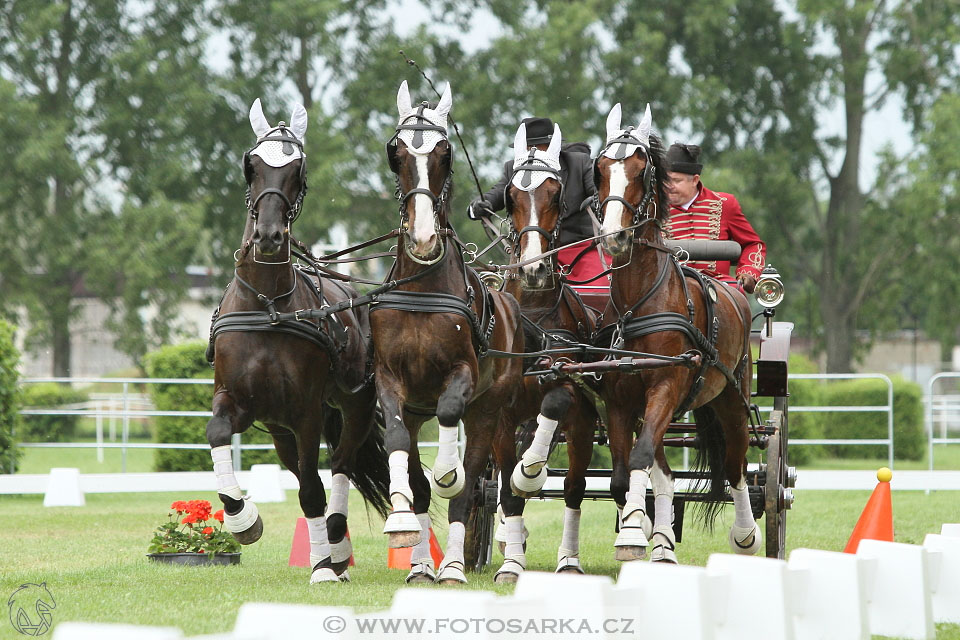 Závody spřežení Topoľčianky 2016