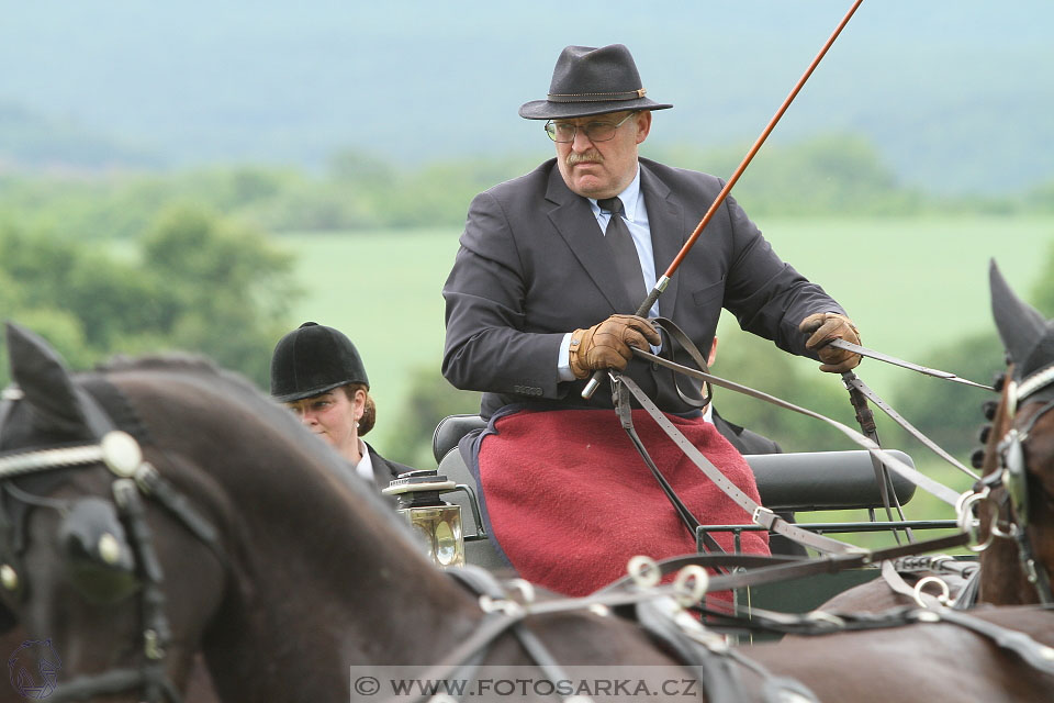 Závody spřežení Topoľčianky 2016