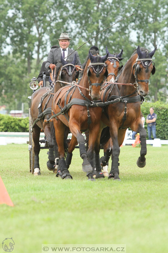 Závody spřežení Topoľčianky 2016