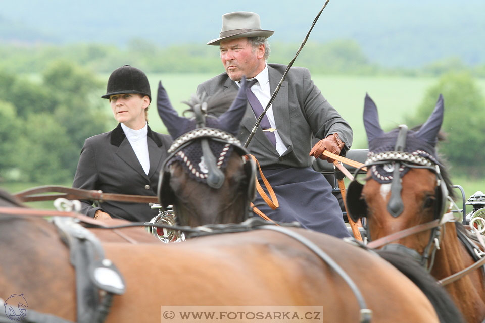 Závody spřežení Topoľčianky 2016