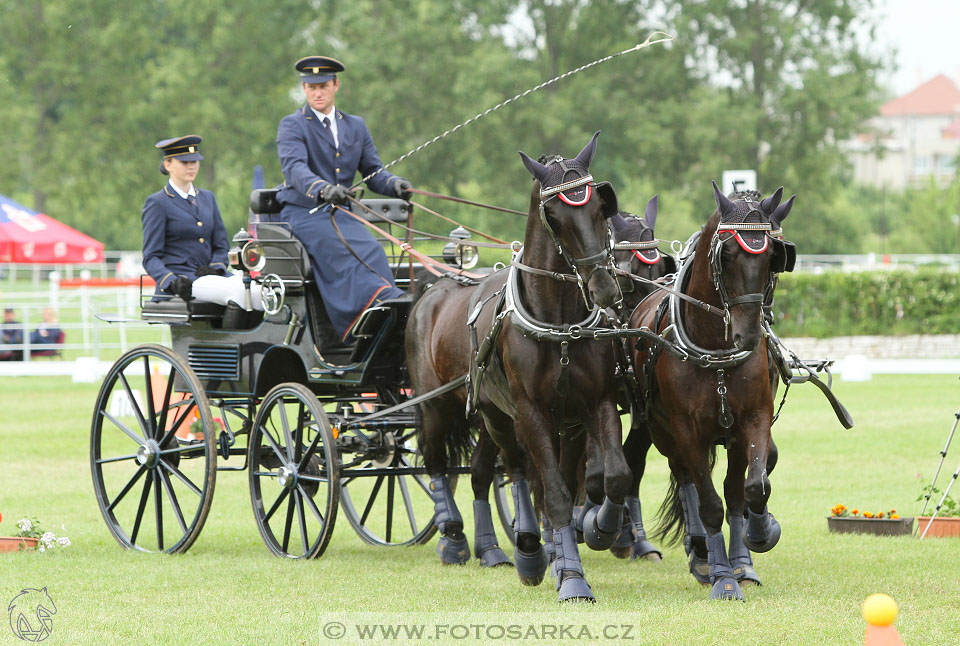 Závody spřežení Topoľčianky 2016