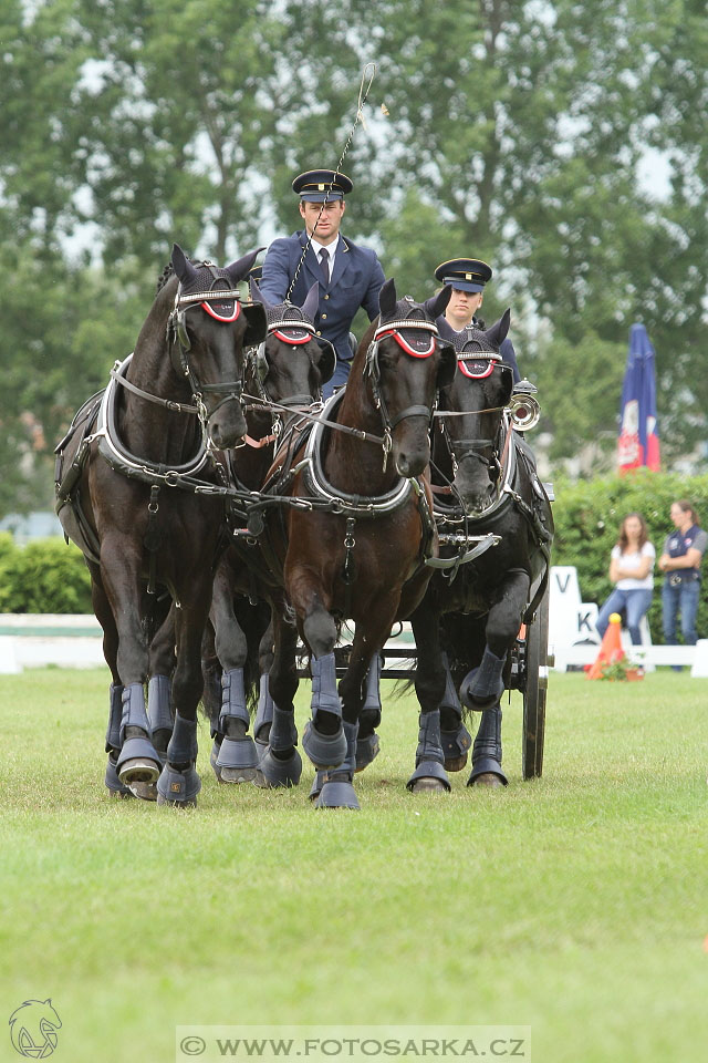 Závody spřežení Topoľčianky 2016