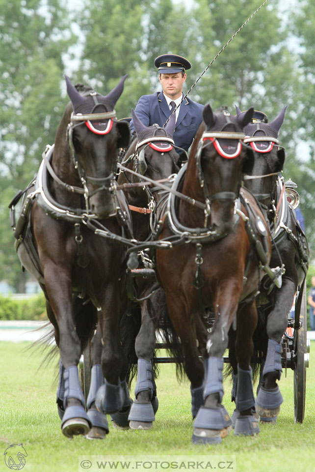 Závody spřežení Topoľčianky 2016