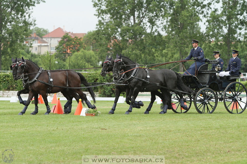 Závody spřežení Topoľčianky 2016