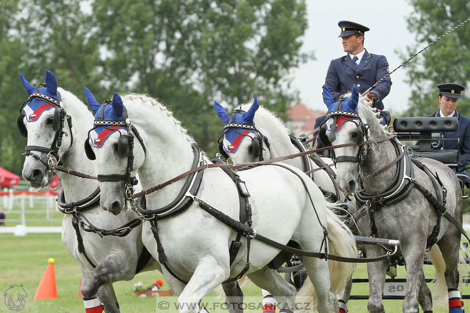 Závody spřežení Topoľčianky 2016