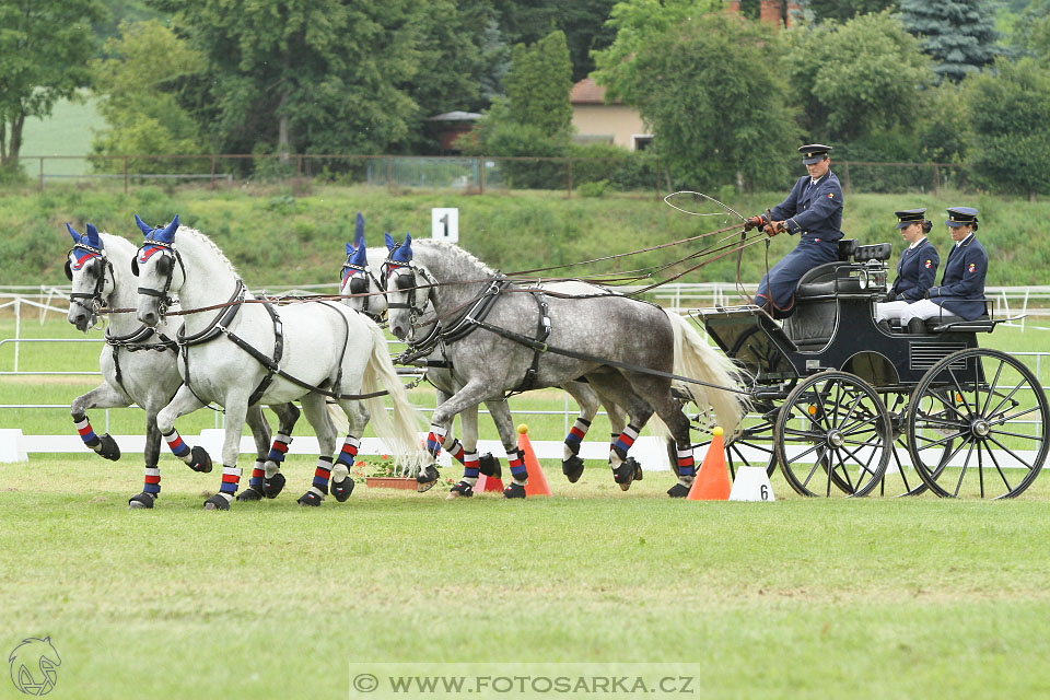 Závody spřežení Topoľčianky 2016