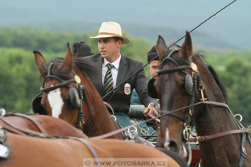 Závody spřežení Topoľčianky 2016