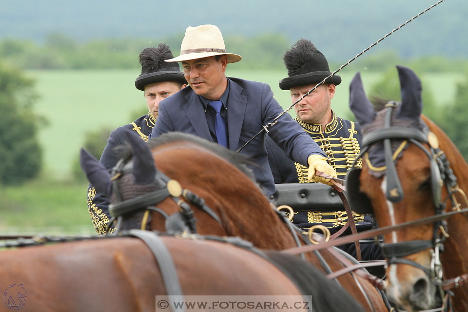 Závody spřežení Topoľčianky 2016