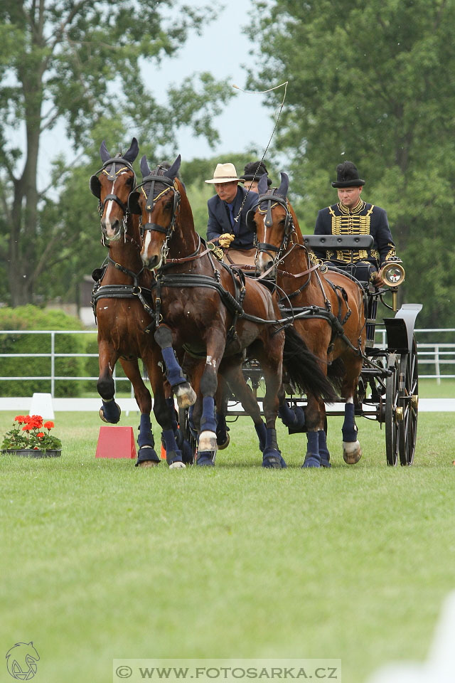 Závody spřežení Topoľčianky 2016