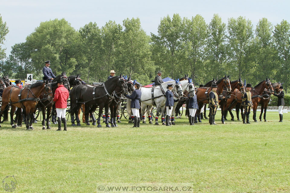 Závody spřežení Topoľčianky 2016