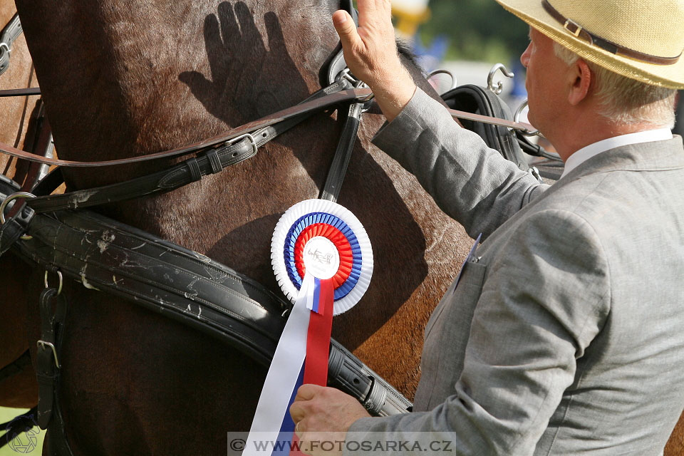 Závody spřežení Topoľčianky 2016