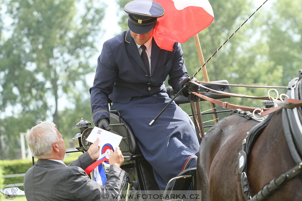 Závody spřežení Topoľčianky 2016