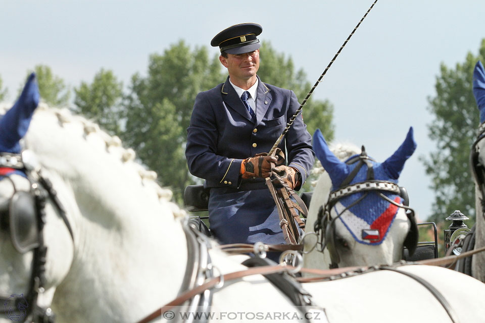 Závody spřežení Topoľčianky 2016