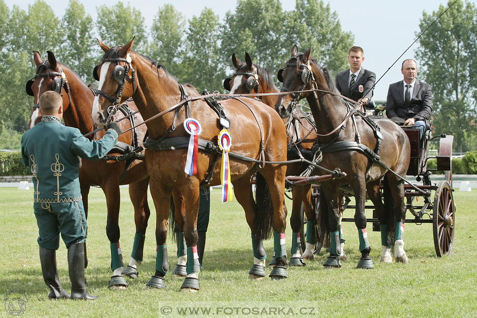 Závody spřežení Topoľčianky 2016