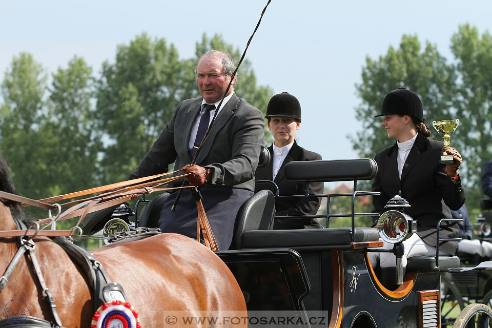 Závody spřežení Topoľčianky 2016