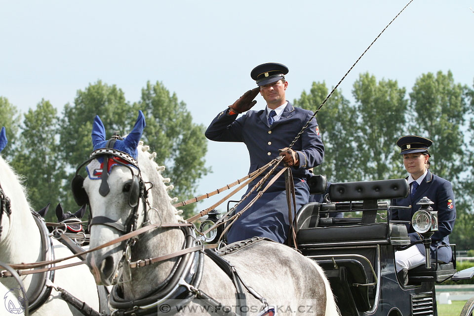 Závody spřežení Topoľčianky 2016