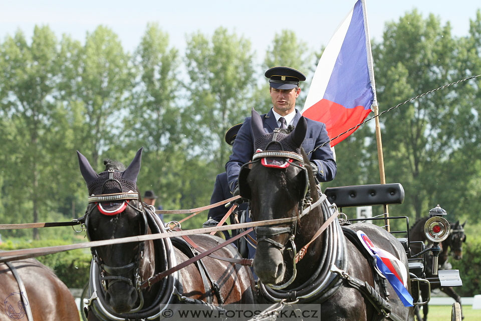 Závody spřežení Topoľčianky 2016