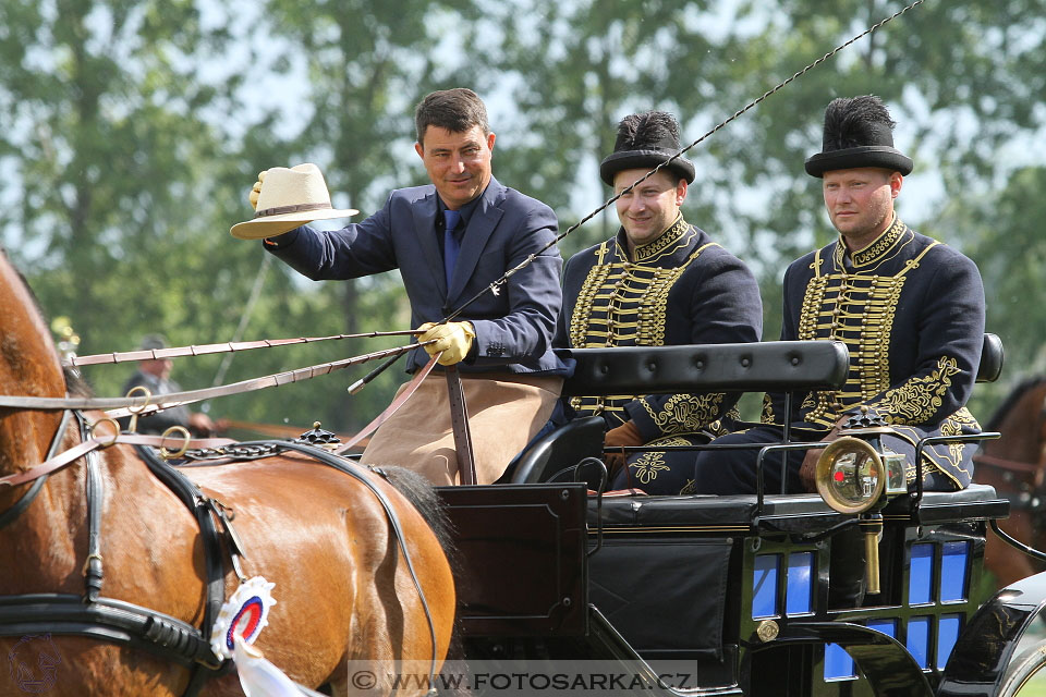 Závody spřežení Topoľčianky 2016