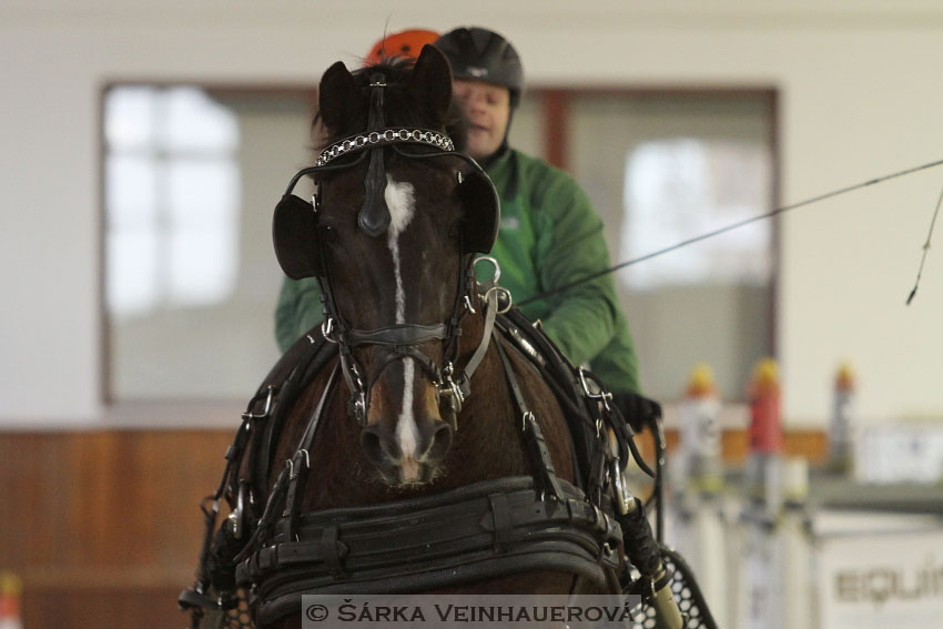 Zimní Jezdecký pohár spřežení 2016 - Brno