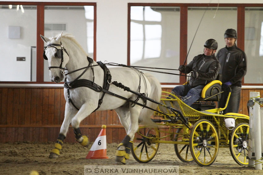 Zimní Jezdecký pohár spřežení 2016 - Brno