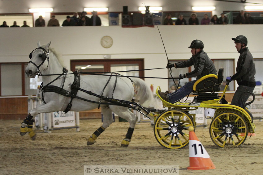 Zimní Jezdecký pohár spřežení 2016 - Brno