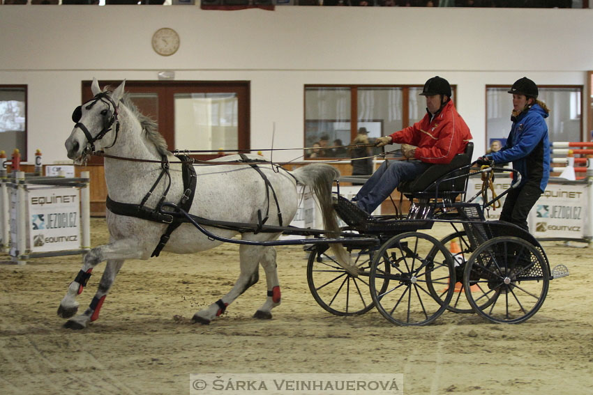 Zimní Jezdecký pohár spřežení 2016 - Brno