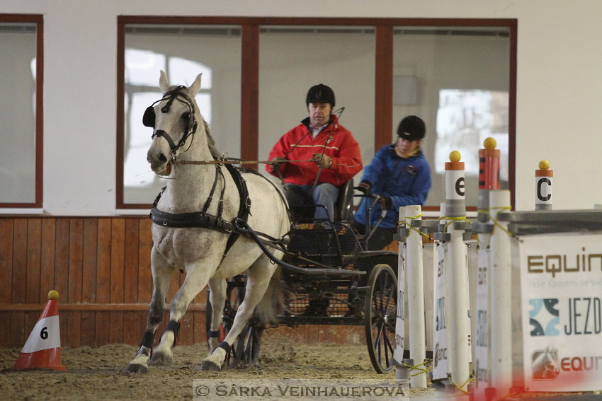 Zimní Jezdecký pohár spřežení 2016 - Brno