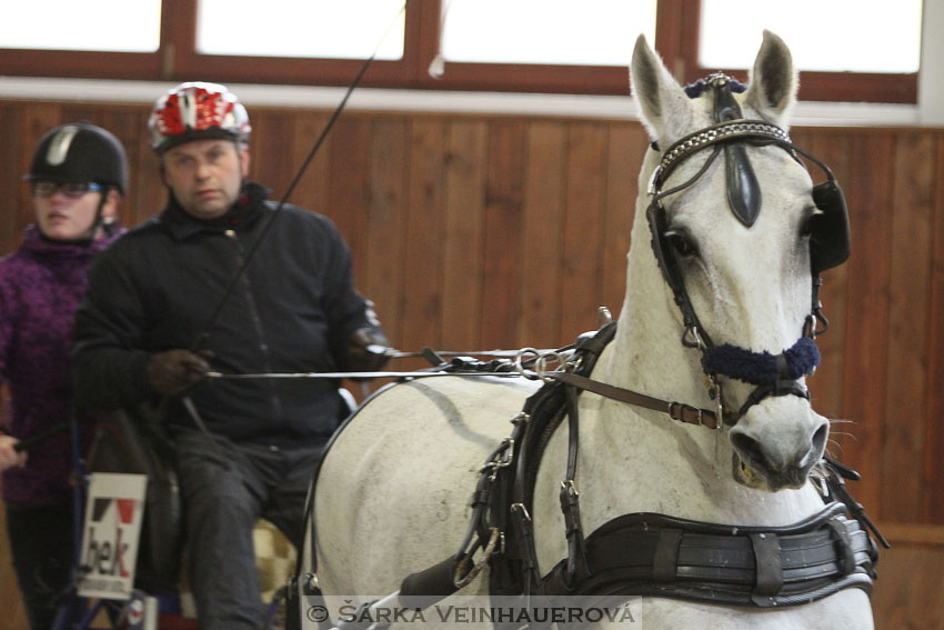 Zimní Jezdecký pohár spřežení 2016 - Brno