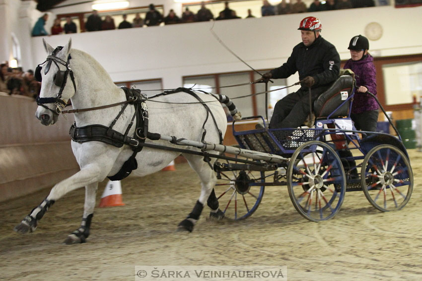 Zimní Jezdecký pohár spřežení 2016 - Brno