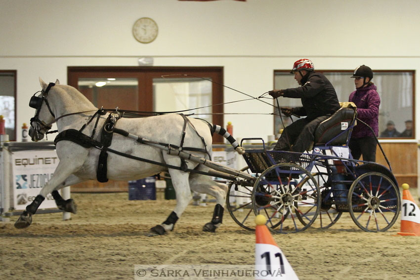 Zimní Jezdecký pohár spřežení 2016 - Brno